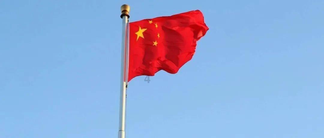 寻找萌小老虎